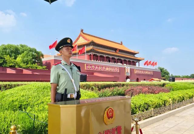媒体：哨位安睡的猫是国泰民安注脚 温情瞬间触动全网