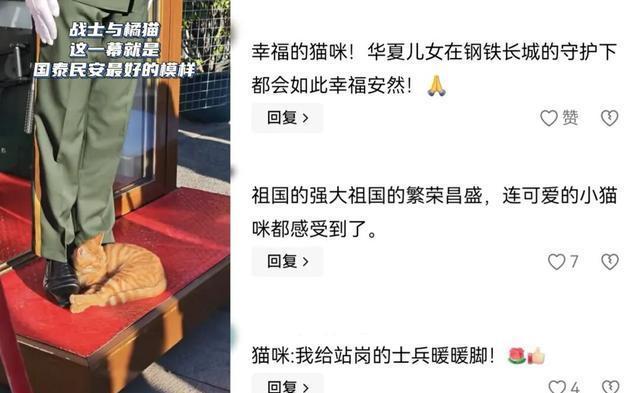 媒体：哨位安睡的猫是国泰民安注脚 温情瞬间触动全网