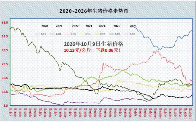 10月9日全国生猪价格一览 市场震荡调整
