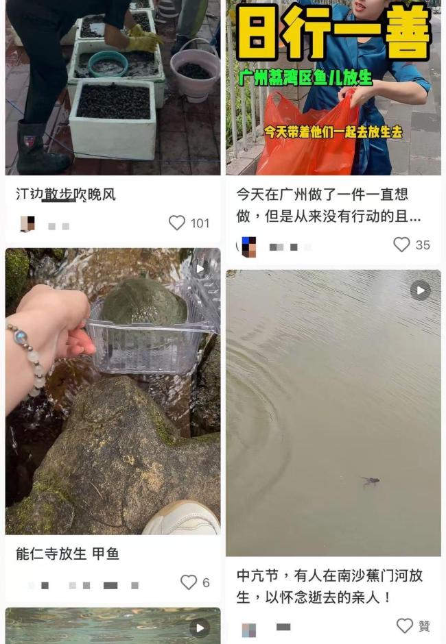 记者暗访放生乱象 生态隐忧背后的监管难题