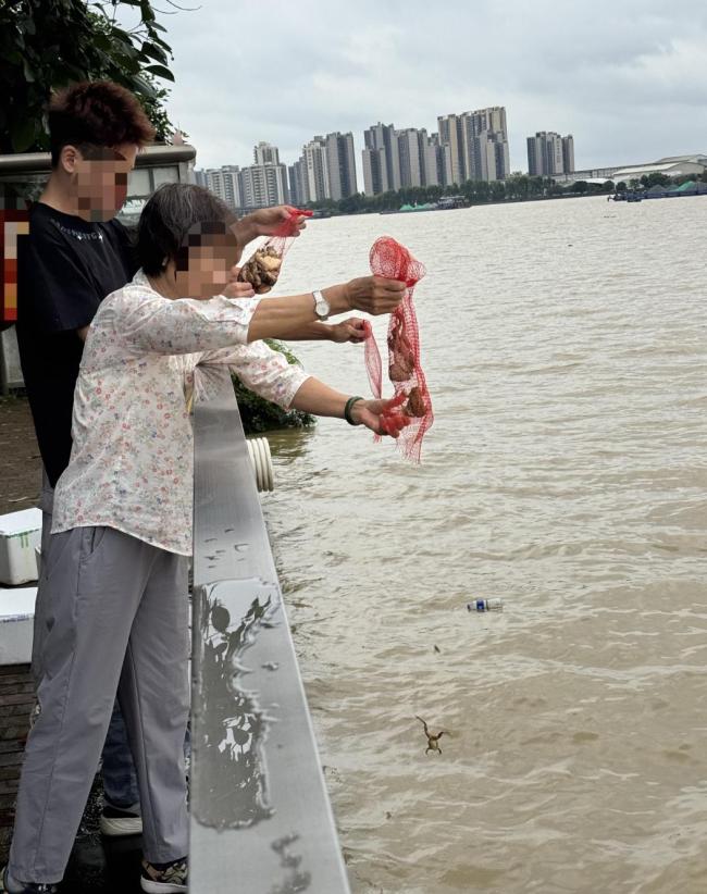 记者暗访放生乱象 生态隐忧背后的监管难题