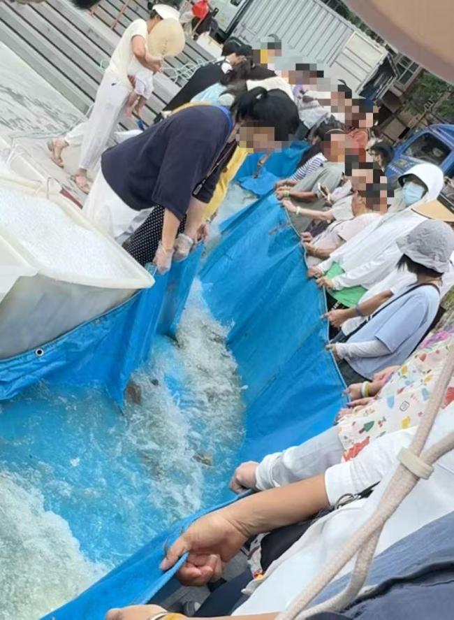 记者暗访放生乱象 生态隐忧背后的监管难题