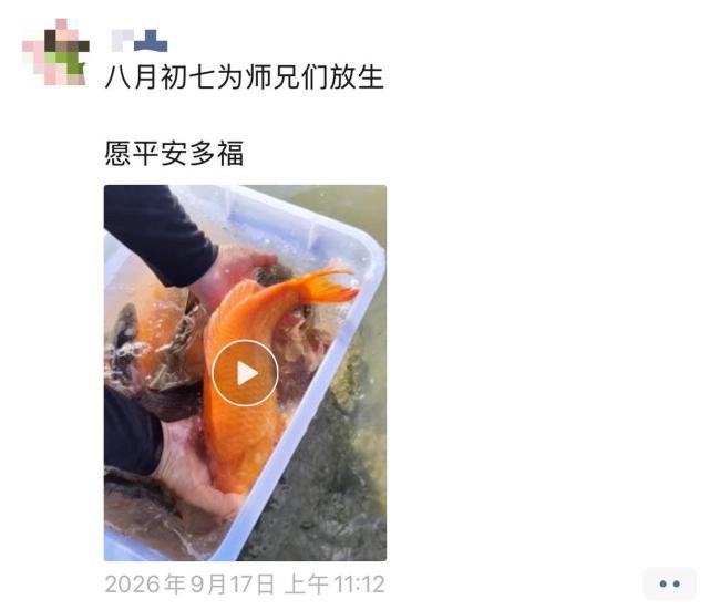 记者暗访放生乱象 生态隐忧背后的监管难题
