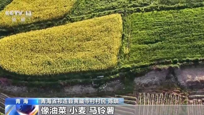 祁连山冰川现16年来最强烈消融 高温热浪加剧消融趋势