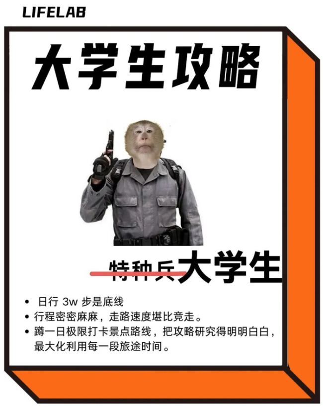 中年人上过最大的当,是跟着大学生严选旅行
