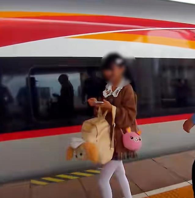 16岁女孩独自乘高铁见网友被拦