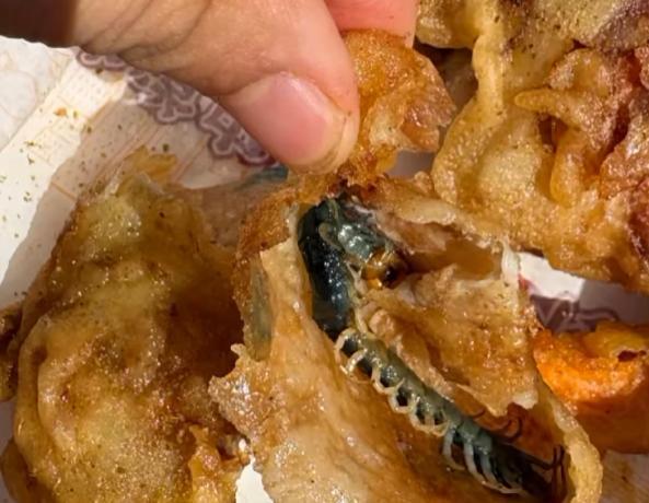 吃炸鸡吃出一条蜈蚣 门店:顾客索赔1000元