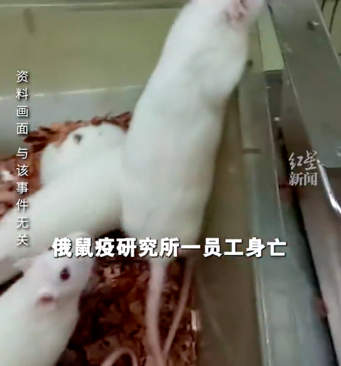 俄鼠疫研究所员工死亡疑云:症状似鼠疫但存差异,感染源和致病因子仍未知