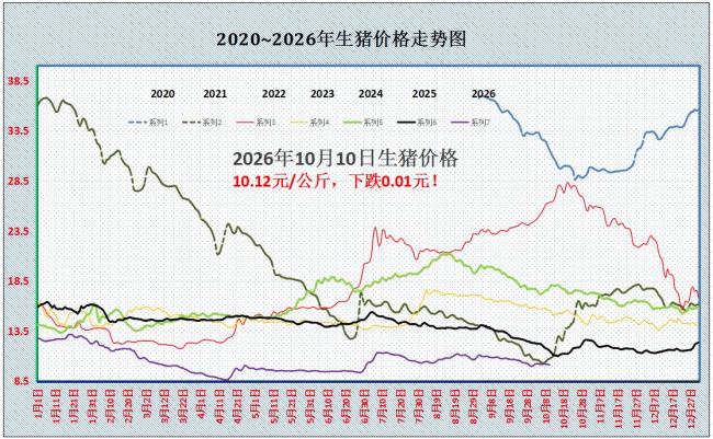 猪价节后下跌，10月供需双增 市场窄幅拉锯