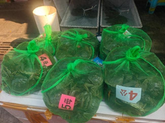 大闸蟹量产大年致价格分化