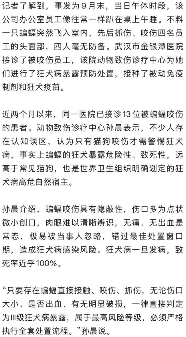 4名员工午休时被飞飞入办公室蝙蝠咬伤 蝙蝠携带致命病毒