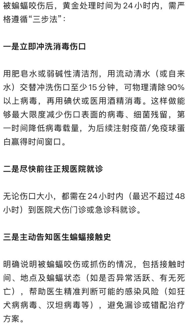 4名员工午休时被飞飞入办公室蝙蝠咬伤 蝙蝠携带致命病毒