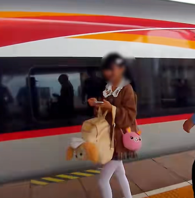 女孩乘坐高铁与网友“奔现”被拦下