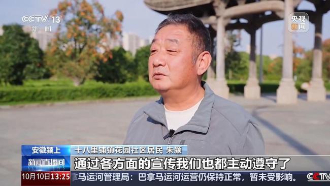 城市里的柿子不能摘 要留给小鸟吃 生态美景引来万鸟啄柿