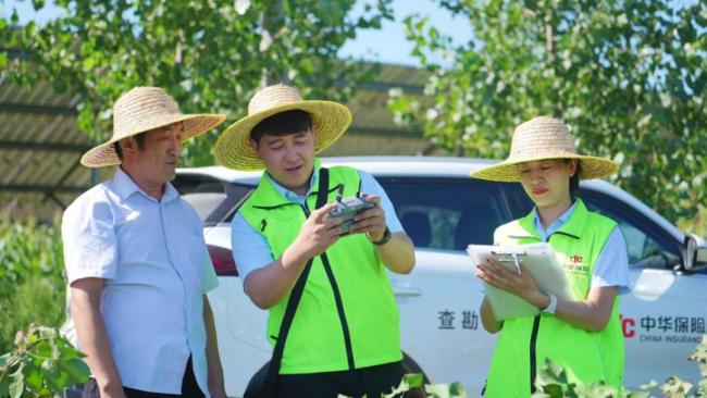 丰收的中国如此多娇 金融活水润沃土