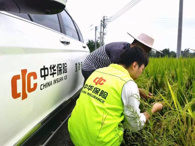 丰收的中国如此多娇 金融活水润沃土