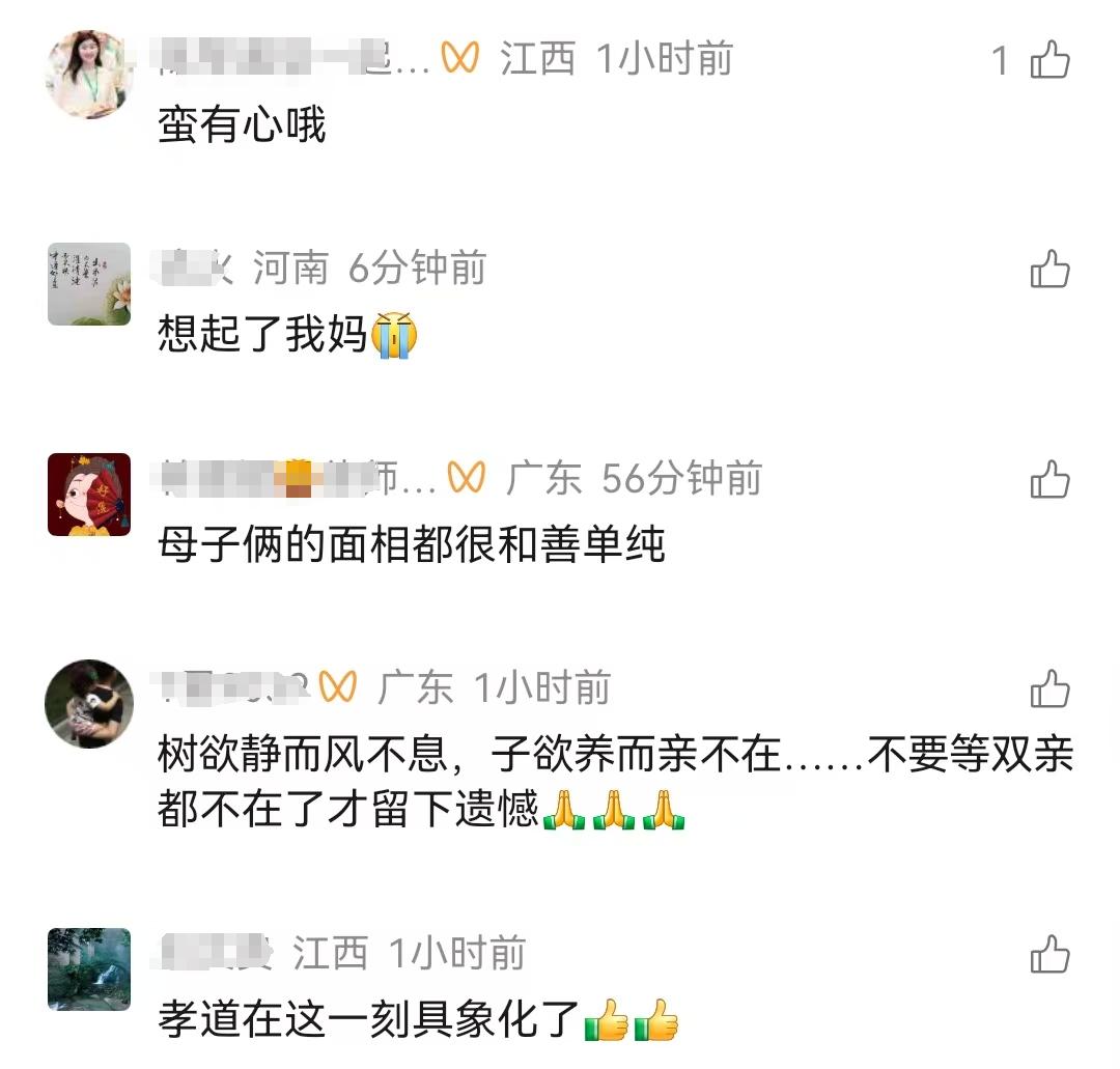 男子背着母亲在路边行走,热心司机询问其原因男子笑着说“带妈妈去玩”,司机邀请其搭车被婉拒;网友:孝道在此刻具象化