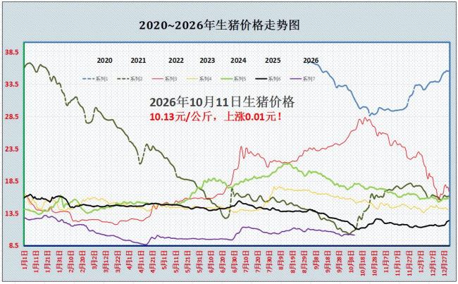 10月11日猪价上涨“卷土重来” 供需情绪谨慎