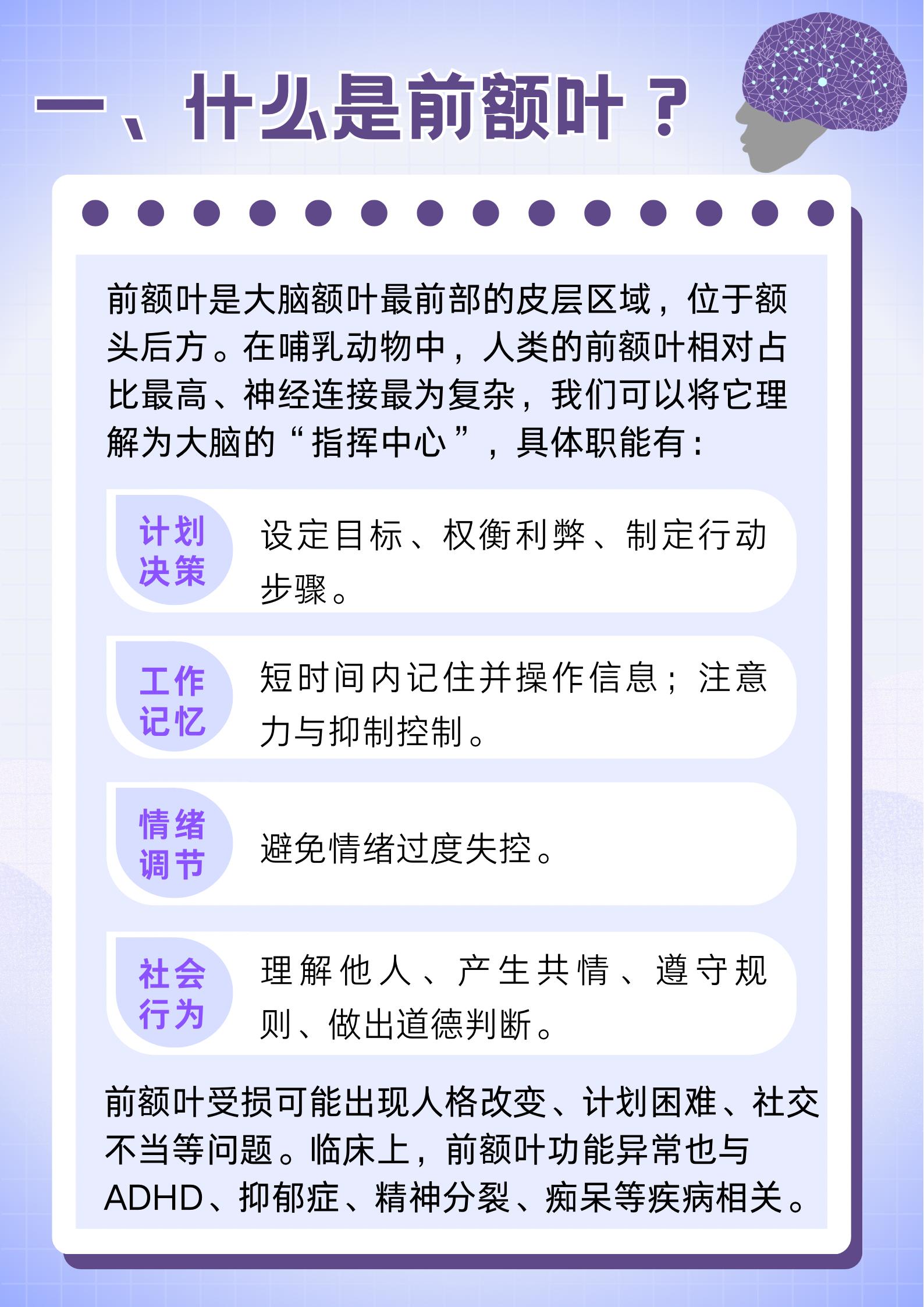 请尊重一下你的前额叶 大脑指挥中心需关注