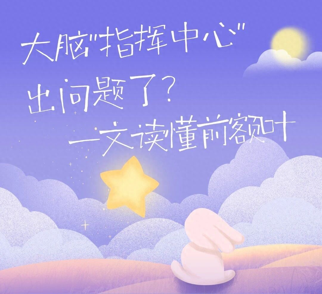 请尊重一下你的前额叶 大脑指挥中心需关注