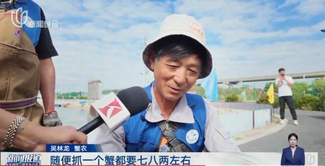 大闸蟹跌到5元一只 中小规格蟹价骤降