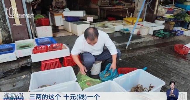 大闸蟹跌到5元一只