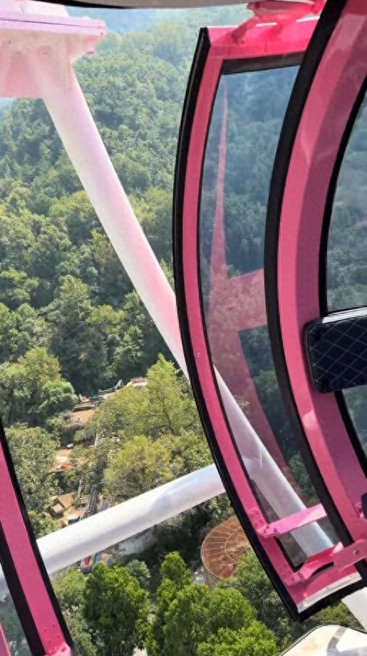摩天轮升空后门却没关,孩子吓得不敢动,说“以后不要坐了”,园方:设施停运整改,监管部门已介入