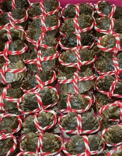 5元1只？大闸蟹“崩盘”了吗 价格分化显现