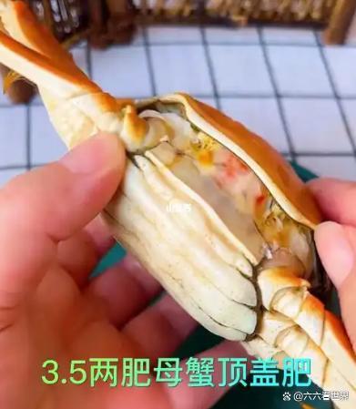5元1只？大闸蟹“崩盘”了吗 价格分化显现
