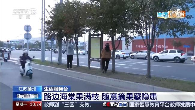 路边的海棠果能吃吗 景观果实勿采摘食用