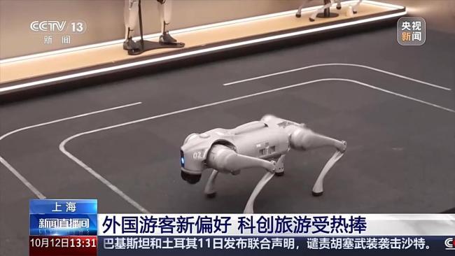 外国游客爱上中国科技 体验与购买热潮