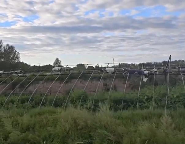 央视曝光多地农业大棚撂荒套取补贴,良田长期闲置