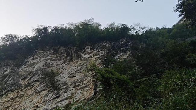 新车坠崖跌落百米车主仅轻伤