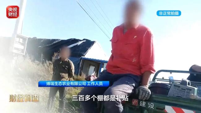 央视曝光千亩大棚荒废仍领补贴 扶贫资金打水漂
