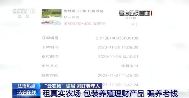 投资300万养了600头空气牛 虚拟牧场的陷阱
