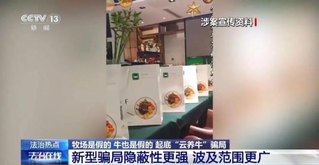 投资300万养了600头空气牛 虚拟牧场的陷阱
