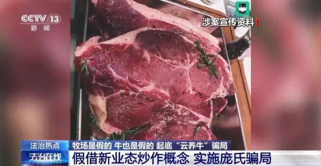 投资300万养了600头空气牛 虚拟牧场的陷阱