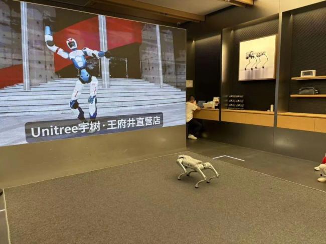 中产“新玩具”杀进商场一楼 机器人占领核心商圈