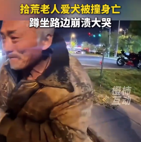 拾荒老人爱犬被撞身亡 蹲坐路边崩溃大哭