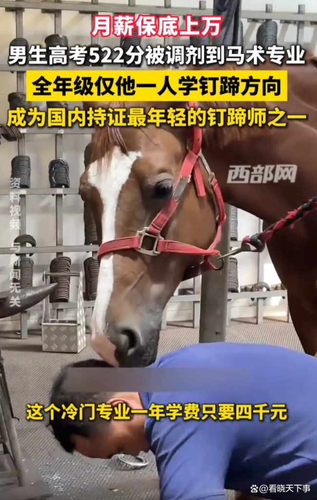 钉蹄师称月薪不低于五位数 冷门专业成就高薪职业