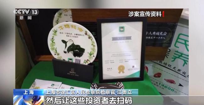 全民养牛骗了12万人5亿多元 假借“云养牛”实施诈骗