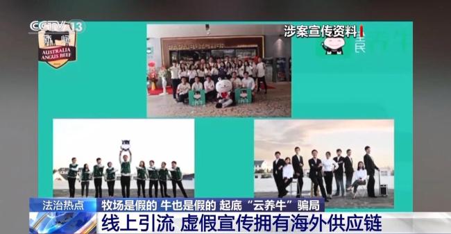 全民养牛骗了12万人5亿多元 假借“云养牛”实施诈骗