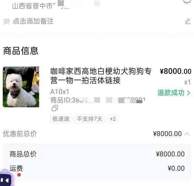 顾客花8000元买狗后仅退款 一场600公里的争执