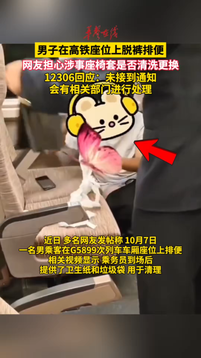 12306回应男子高铁座位上脱裤排便
