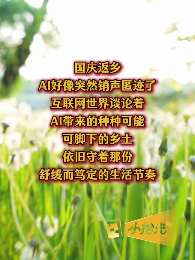 回老家有种没被AI“污染”过的美