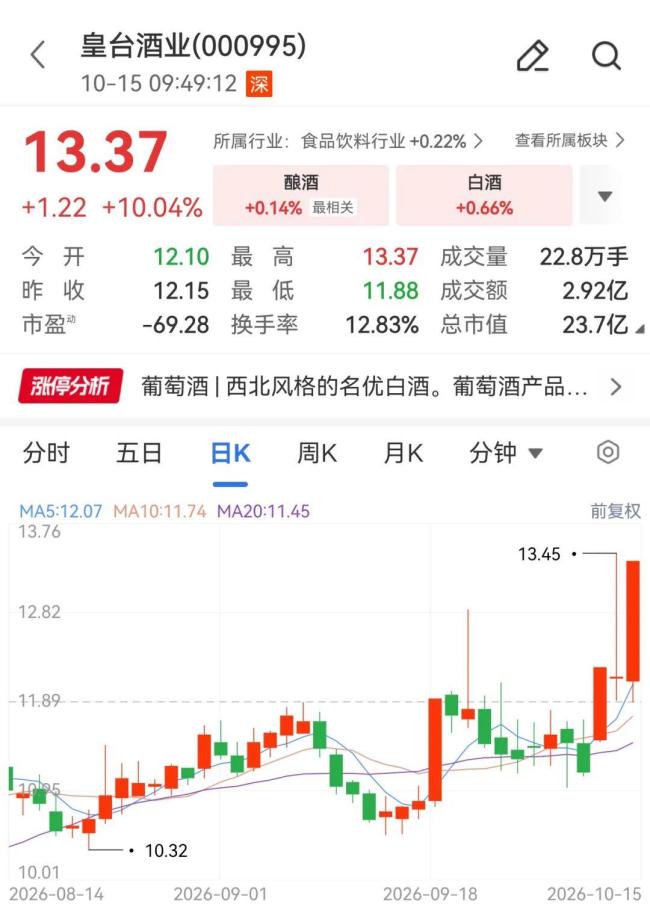 白酒概念震荡走高