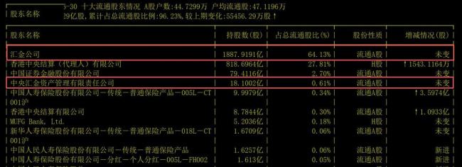 中央汇金再曝21家