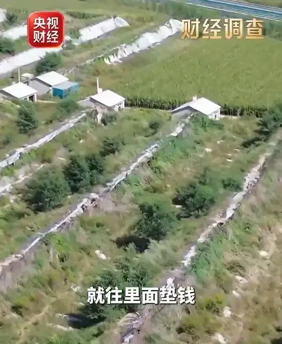 空壳公司成立9天就接项目骗国补