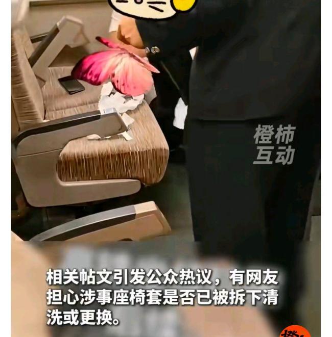 男子在高铁座位脱裤排便 画面公开 官方回应迟缓引发关注