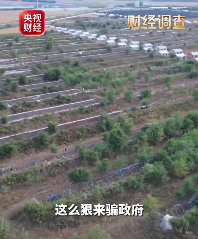 央视曝投资1.2亿元项目仅建成5个棚，空壳公司成立9天承接项目骗钱